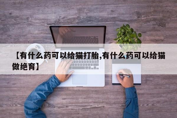 私人店有打胎药吗【有什么药可以给猫打胎,有什么药可以给猫做绝育】