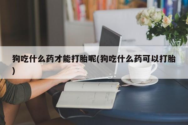 私人店有打胎药吗狗吃什么药才能打胎呢(狗吃什么药可以打胎)