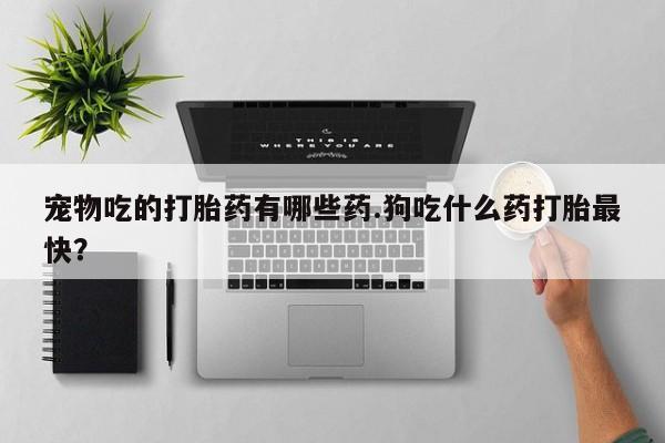 私人店有打胎药吗宠物吃的打胎药有哪些药.狗吃什么药打胎最快？