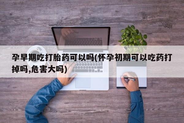 私人店有打胎药吗孕早期吃打胎药可以吗(怀孕初期可以吃药打掉吗,危害大吗)